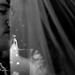 Julie Stark Photo 44