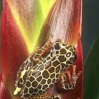 Joyce Wills Photo 13