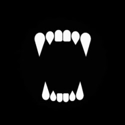 Troy Collins Photo 24