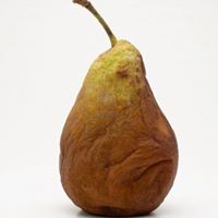 David Grogan Photo 13