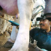 Jesus Carbajal Photo 28