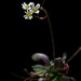 Frances Grass Photo 16