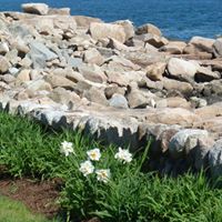 Christine Witham Photo 15