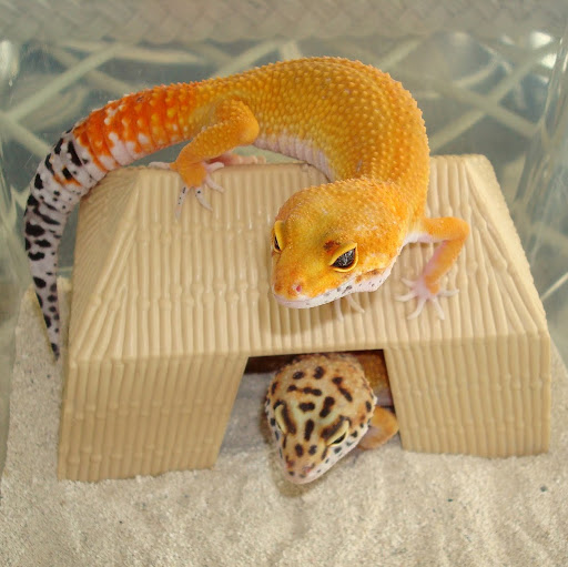 Jeffrey Herr Photo 29