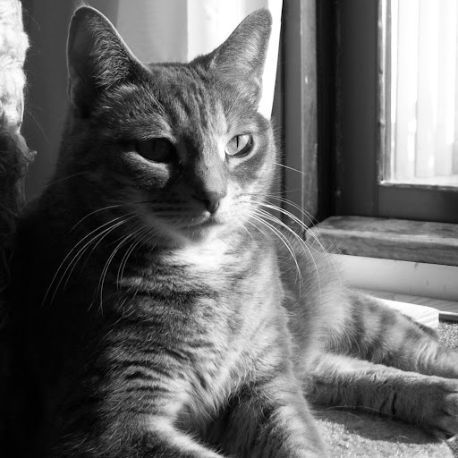 Joyce O'Connor Photo 12