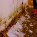 Rebecca Fetters Photo 9