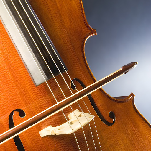 David Drees Photo 18