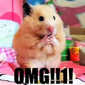 Donna Rodgers Photo 13