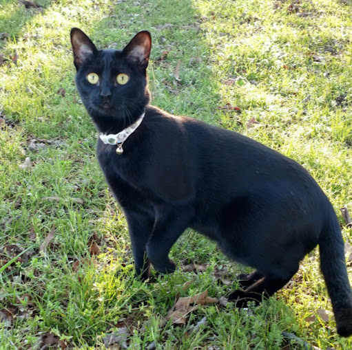 Nancy Hobbs Photo 30