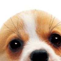 Theresa Conner Photo 13