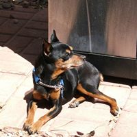 Bruce Blank Photo 15