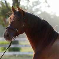 Eleanor Haynes Photo 5