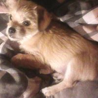 Linda Millsap Photo 6