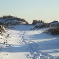 Darlene Bergeron Photo 12