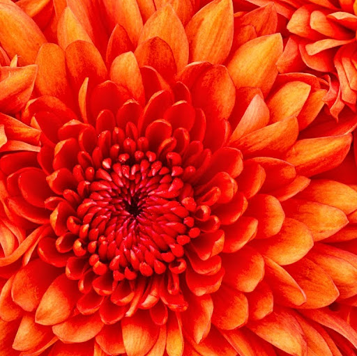 Maria Sanabria Photo 12