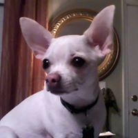 Susan Crites Photo 19