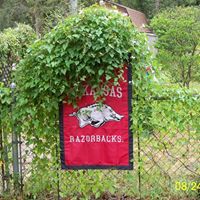 Robyn Henderson Photo 37