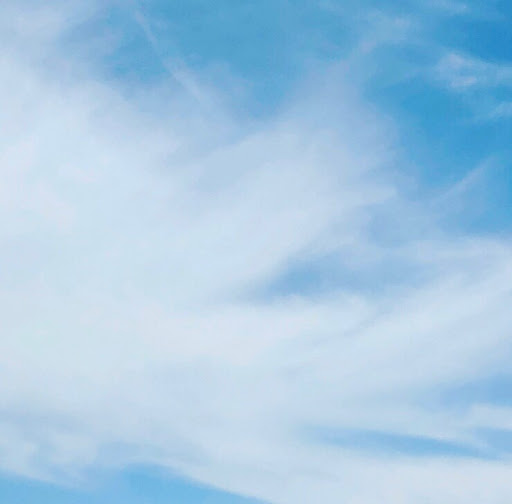 Melissa Smallwood Photo 17