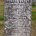 Catherine Carey Photo 19