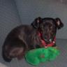 Erin Emmons Photo 4