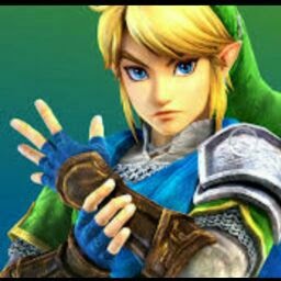 Henry Vandenberg Photo 8