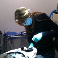 Shari Lambert Photo 13