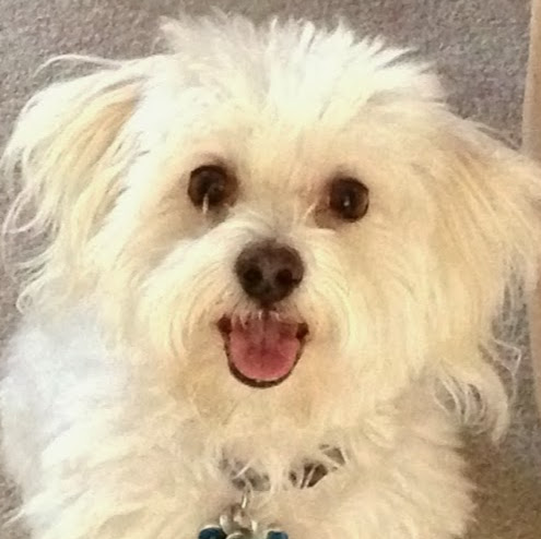 David Powers Photo 33