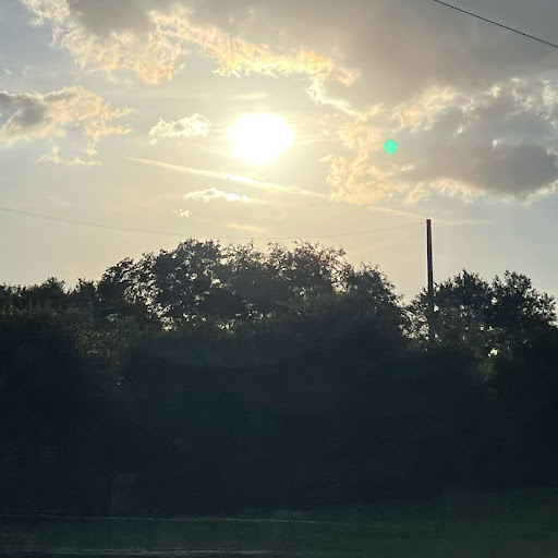 Theresa Gray Photo 19