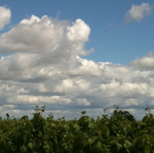 Larry Robins Photo 2