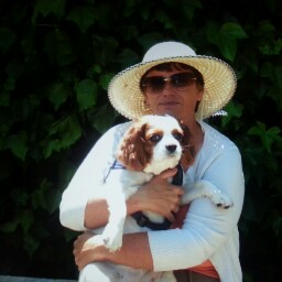 Jill Daniels Photo 28 Jill Daniels Photo 28