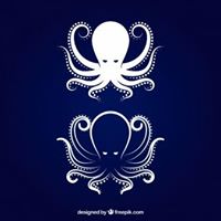 Mary Demers Photo 13