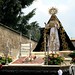 Dolores Becerra Photo 10