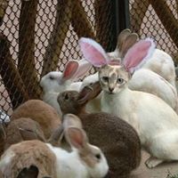 Staci Summers Photo 5