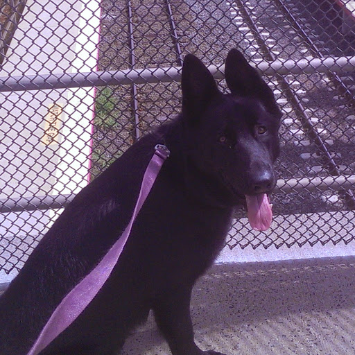 Michael Cleary Photo 47