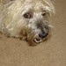Cheryl Bailey Photo 39