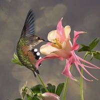 Judy Walters Photo 10