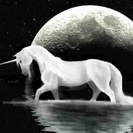 Rebecca Alderman Photo 7