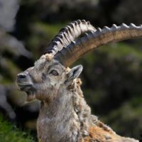 Trevor Foster Photo 22