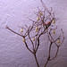 Eugene Partridge Photo 17