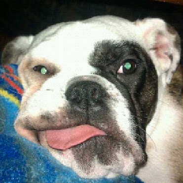 John Abbott Photo 47 John Abbott Photo 47