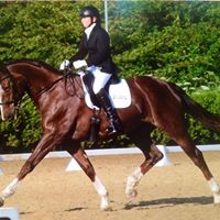 Tracy Kibler Photo 5