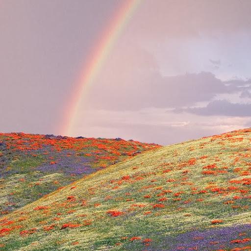 Daryl Hamilton Photo 15