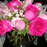 Rose Flowers Photo 37