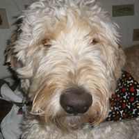 Gail Fleming Photo 10 Gail Fleming Photo 10