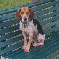 Lisa Meyers Photo 10