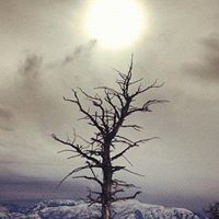 Beth Young Photo 19