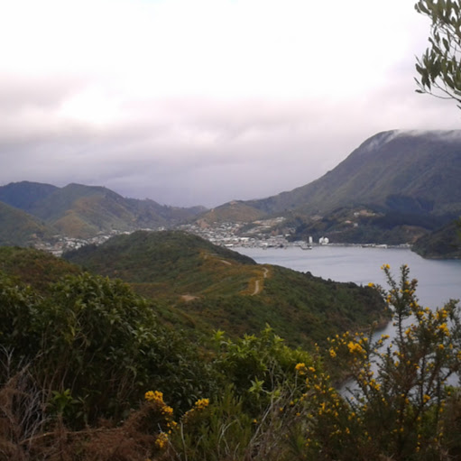 Jack Morton Photo 38 Jack Morton Photo 38