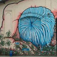 Stephen Dunne Photo 26