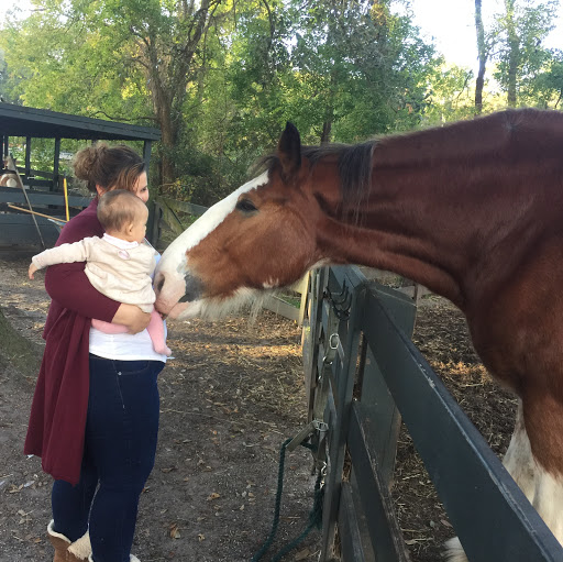 Elizabeth Rainey Photo 13