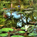 Cynthia Pond Photo 22